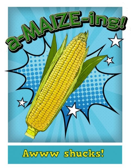 graphic of corn in the husk with the text that says a-maize-ing