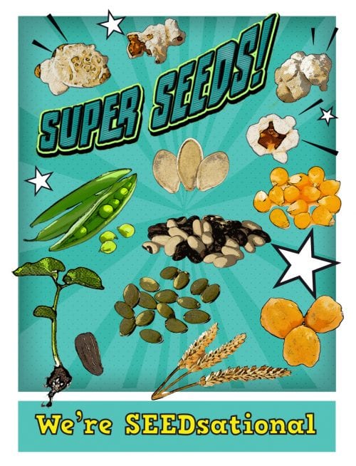 Pop art of multiple type of seeds that says "super seeds- we're seedsational!