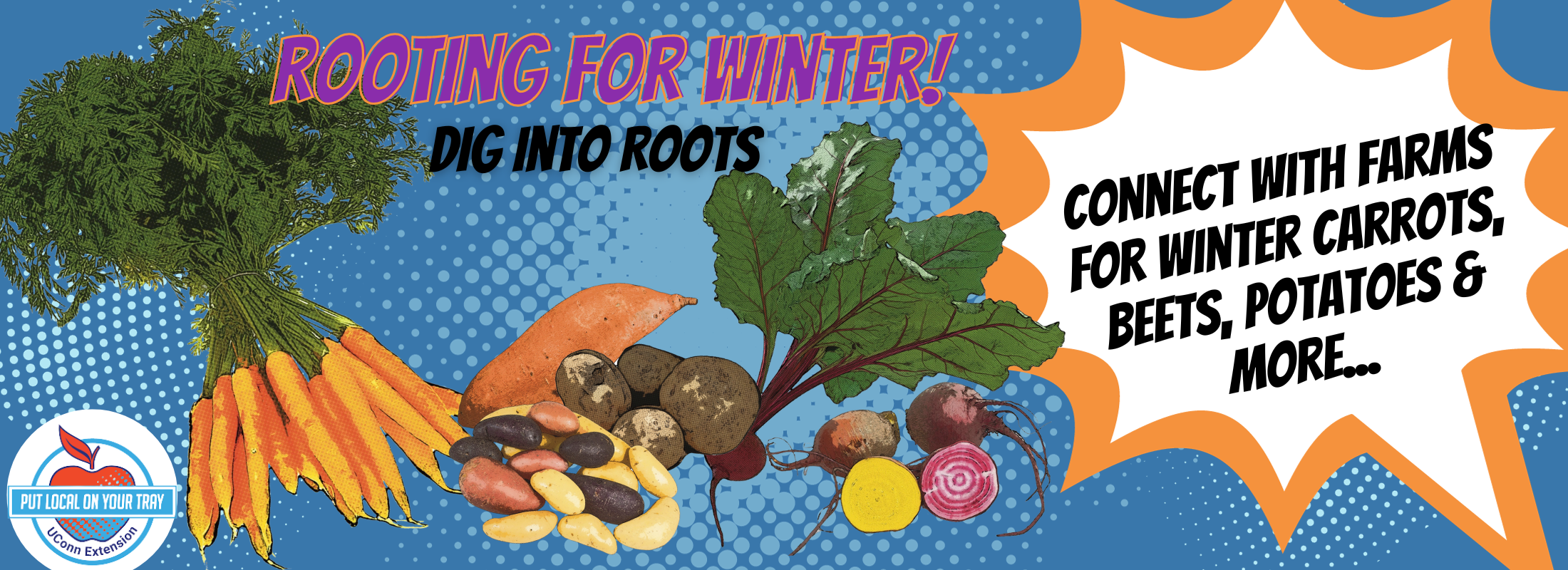 Rooting for Winter: Connect with farms for winter carrots, beets, potatoes, and more!
