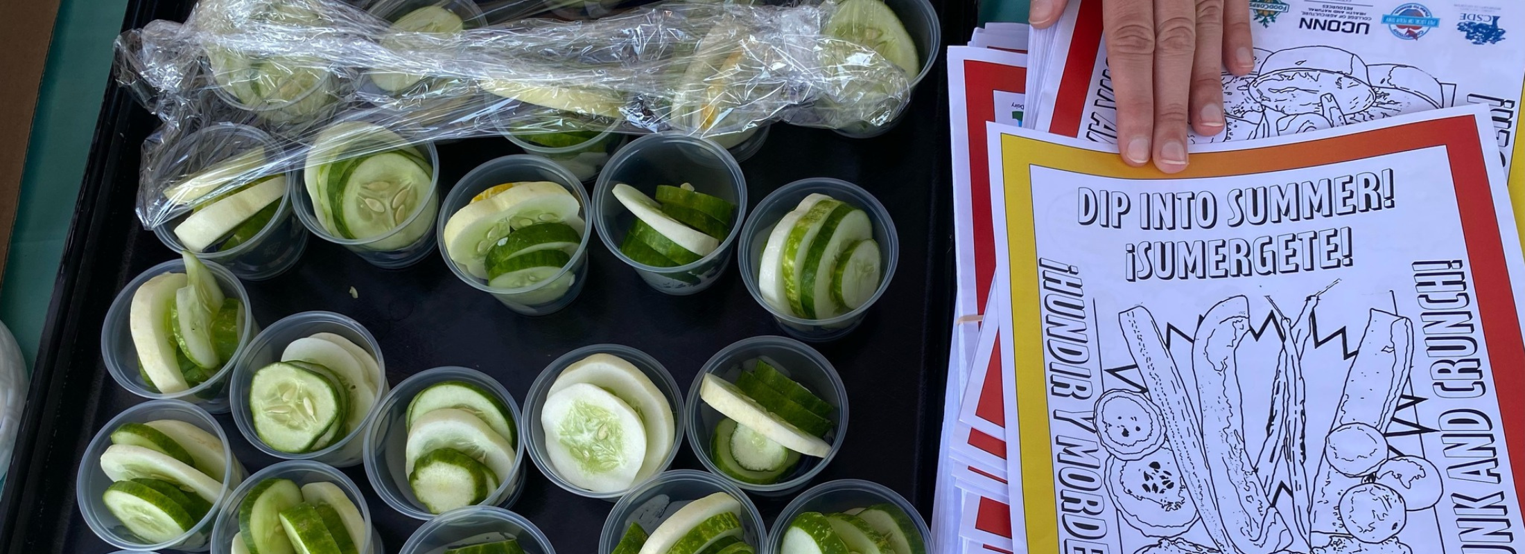 Sliced cucumbers in sample cups lined up next to a coloring sheet that says Dip Into Summer!
