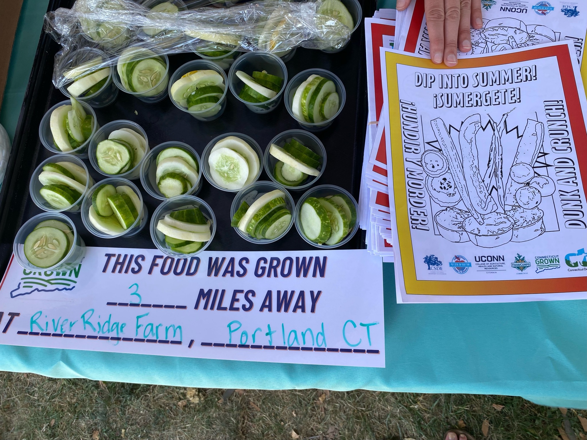 photo of sliced cucumbers in small sample cups