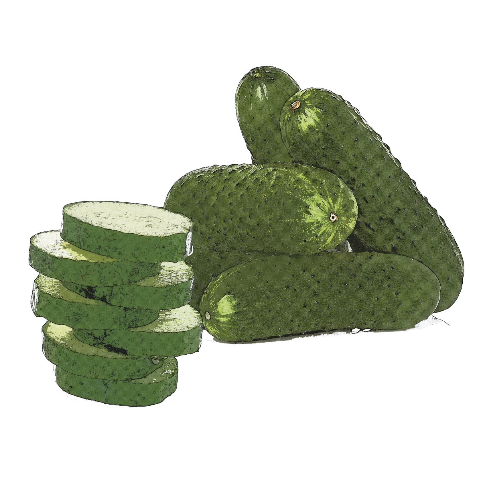 pop art of cucumbers- whole and sliced