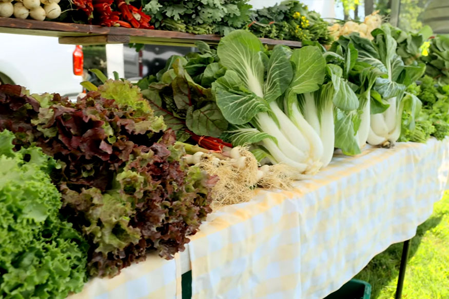 table full of leafy greens at farmers market