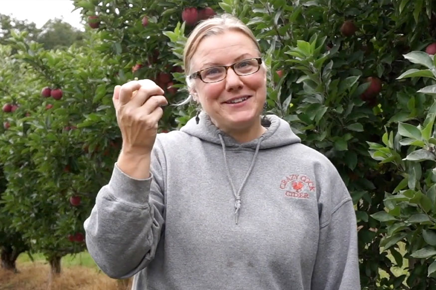 woman in an orchard eating an apple