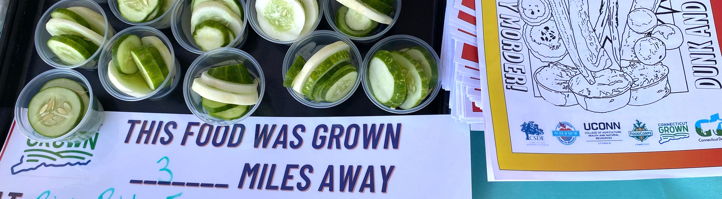 Sliced cucumbers in sample cups lined up next to a coloring sheet that says Dip Into Summer!